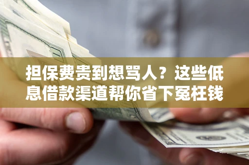 北京担保费贵到想骂人？这些低息借款渠道帮你省下冤枉钱
